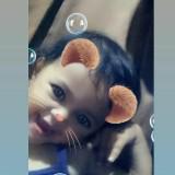 (Kategori: ) berada di . Dikirim oleh soemantama53208 (ID iklan 1205770797, Gambar 1). Deskripsi: .