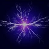 （分類：）位於 。 由 Electrifying_Shop 提交（商品編號 1232841380，圖片 1）。簡介： 。