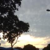(Category: ) located in . Submitted by user.098765 (Listing ID 1377635763, Image 1). Description: .