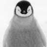 (Category: ) located in . Submitted by hobbyfliper. (Listing ID 1442445160, Image 1). Description: .