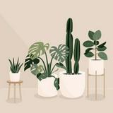 (Category: ) located in . Submitted by pottoplant (Listing ID 1373245536, Image 1). Description: .