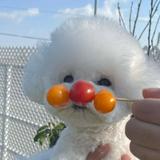 (Category: ) located in . Submitted by onlyshhh (Listing ID 1321305736, Image 1). Description: .
