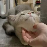 由 smile37122a_tmm (刊登 ID 1385694957，圖片 1) 提交，位於 的 (類別：)，說明：。