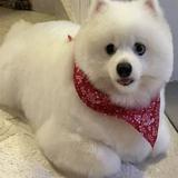 (Category: ) located in . Submitted by worthymart (Listing ID 1219236560, Image 1). Description: .