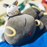 (Category: ) located in . Submitted by wfehappy (Listing ID 1445562037, Image 1). Description: .