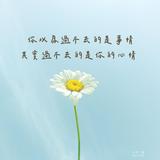 （分類：）位於 。 由 FifiChan 提交（商品編號 1240690529，圖片 1）。簡介： 。