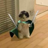 (Category: ) located in . Submitted by hezee (Listing ID 1467012909, Image 1). Description: .