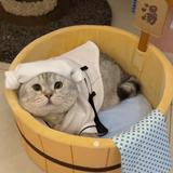 （分類：）位於 。 由 898BUYPETSHOP 提交（商品編號 1180346710，圖片 1）。簡介： 。