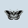 (Category: ) located in . Submitted by batrisyia220142 (Listing ID 1465358739, Image 1). Description: .