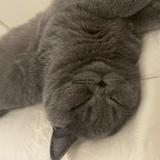 （分類：）位於 。 由 choiii.i 提交（商品編號 1381859647，圖片 1）。簡介： 。