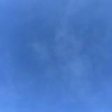 (Category: ) located in . Submitted by peanutbuttc (Listing ID 1335345794, Image 1). Description: .