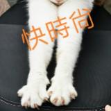 由 eshap (刊登 ID 1205462454，圖片 1) 提交，位於 的 (類別：)，說明：。