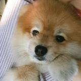 (Category: ) located in . Submitted by kxqng (Listing ID 1282290502, Image 1). Description: .