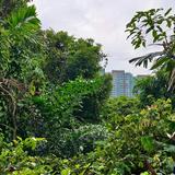 (Category: ) located in . Submitted by swatom_bishan (Listing ID 1208057684, Image 1). Description: .