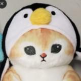 （分類：）位於 。 由 singc8833 提交（商品編號 1360915861，圖片 1）。簡介： 。