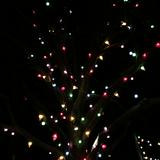 (Category: ) located in . Submitted by Pinkpong (Listing ID 1263856517, Image 1). Description: .