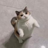 (Category: ) located in . Submitted by nnndz (Listing ID 1345865066, Image 1). Description: .