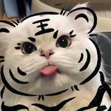 (Category: ) located in . Submitted by je11yje11a (Listing ID 1353161647, Image 1). Description: .