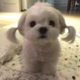 (Category: ) located in . Submitted by myroomisamess (Listing ID 1220282992, Image 1). Description: .