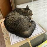 (Category: ) located in . Submitted by catqt (Listing ID 1381176986, Image 1). Description: .
