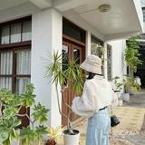 頭像