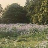 (Category: ) located in . Submitted by buuuutter (Listing ID 1378622602, Image 1). Description: .