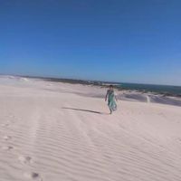 (Category: ) located in . Submitted by tree333000 (Listing ID 1373683412, Image 1). Description: .