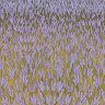 (Category: ) located in . Submitted by ypqfdy (Listing ID 1449149320, Image 1). Description: .