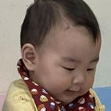 由 Roseyangs (刊登 ID 1333100249，圖片 1) 提交，位於 的 (類別：)，說明：。