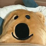 由 helloiamlyc (刊登 ID 1222057288，圖片 1) 提交，位於 的 (類別：)，說明：。