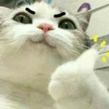 由 jia._.jia (刊登 ID 1382646988，圖片 1) 提交，位於 的 (類別：)，說明：。