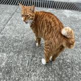 (分類:)位於 。 由 AnsonC 提交(商品編號 1464971804,圖片 1)。簡介: 。