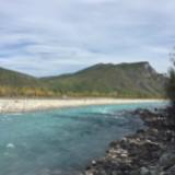 (Category: ) located in . Submitted by racingriver (Listing ID 1377416488, Image 1). Description: .