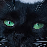 (Kategori: ) berada di . Dikirim oleh slytherinsblood (ID iklan 1362362520, Gambar 1). Deskripsi: .