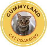 (Category: ) located in . Submitted by gummyland_catboarding (Listing ID 1343156500, Image 1). Description: .