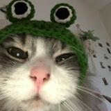 (Category: ) located in . Submitted by rarerthanever (Listing ID 1378857222, Image 1). Description: .