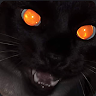 (Category: ) located in . Submitted by trvp. (Listing ID 1382117597, Image 1). Description: .