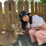 由 echn81316684 (刊登 ID 1373929893，圖片 1) 提交，位於 的 (類別：)，說明：。
