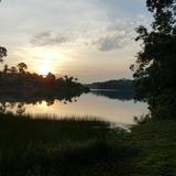 (Category: ) located in . Submitted by shawwwii (Listing ID 1380708711, Image 1). Description: .