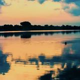 （分類：）位於 。 由 Nickc1804 提交（商品編號 1352208971，圖片 1）。簡介： 。