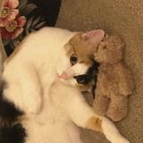 (Category: ) located in . Submitted by acdddim (Listing ID 1447008189, Image 1). Description: .