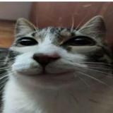 (Category: ) located in . Submitted by igoontorenjun67 (Listing ID 1454838788, Image 1). Description: .
