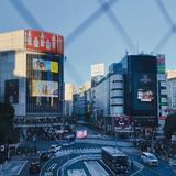 (分類:)位於 。 由 Kin_3060 提交(商品編號 1390479838,圖片 1)。簡介: 。