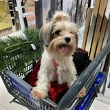(Category: ) located in . Submitted by clothescarousel (Listing ID 1464044706, Image 1). Description: .