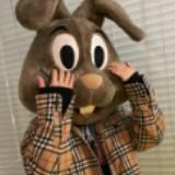 (Category: ) located in . Submitted by hollyyybac25473 (Listing ID 1465471871, Image 1). Description: .