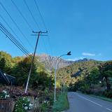 (Category: ) located in . Submitted by kayleneng (Listing ID 1366136481, Image 1). Description: .