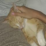 (Category: ) located in . Submitted by namu_milkyway (Listing ID 1264085555, Image 1). Description: .