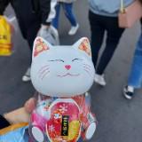 由 abe4ieo (刊登 ID 1380131699，圖片 1) 提交，位於 的 (類別：)，說明：。