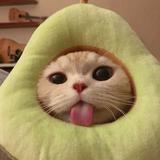 (Category: ) located in . Submitted by asyyyyy (Listing ID 1380501362, Image 1). Description: .