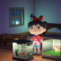 由 Tomato9466 (刊登 ID 1385924438，圖片 1) 提交，位於 的 (類別：)，說明：。